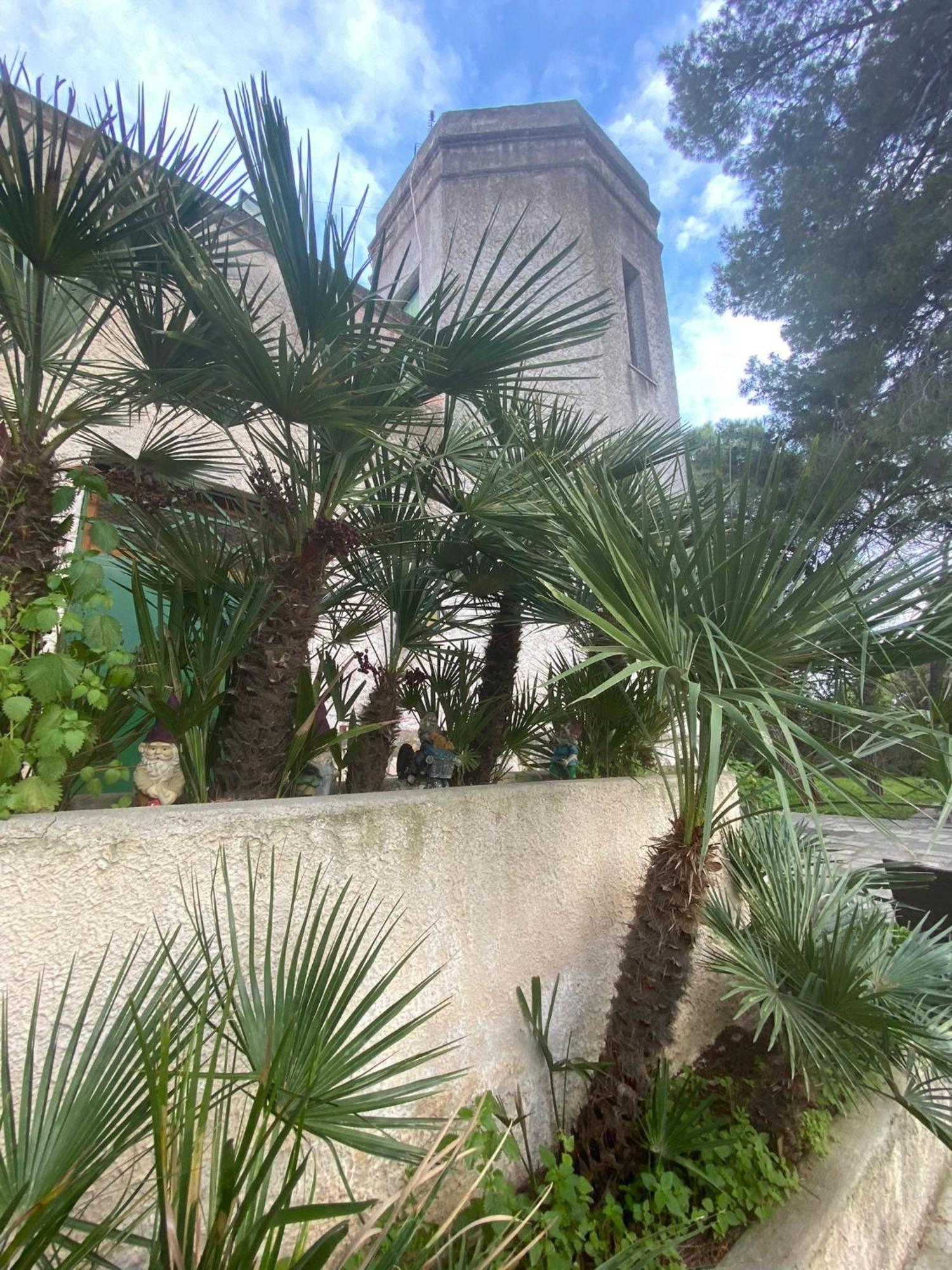 Villa Torre Del Sole Bari Exterior foto